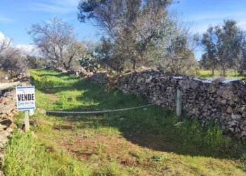 Terreno - Rustic contrada Bascetta, Galatone - photo 14