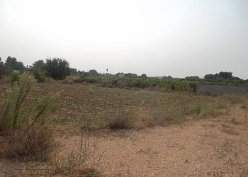 Terreno agricolo SP263, Casarano - foto 2