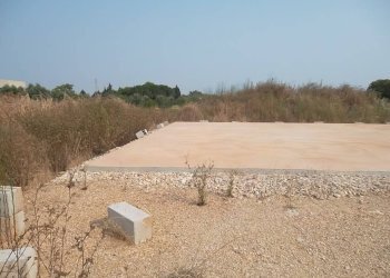 Terreno agricolo SP263, Casarano - foto 4