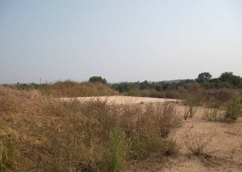 Terreno agricolo SP263, Casarano - foto 6