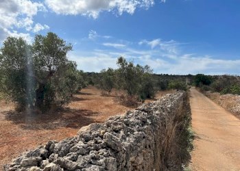 Viste - Terreno agricolo Località Monnittola, Gallipoli - foto 7