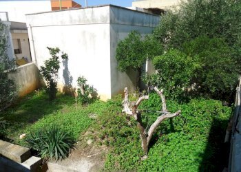 Giardino - Casa indipendente via Gallipoli, Racale - foto 15