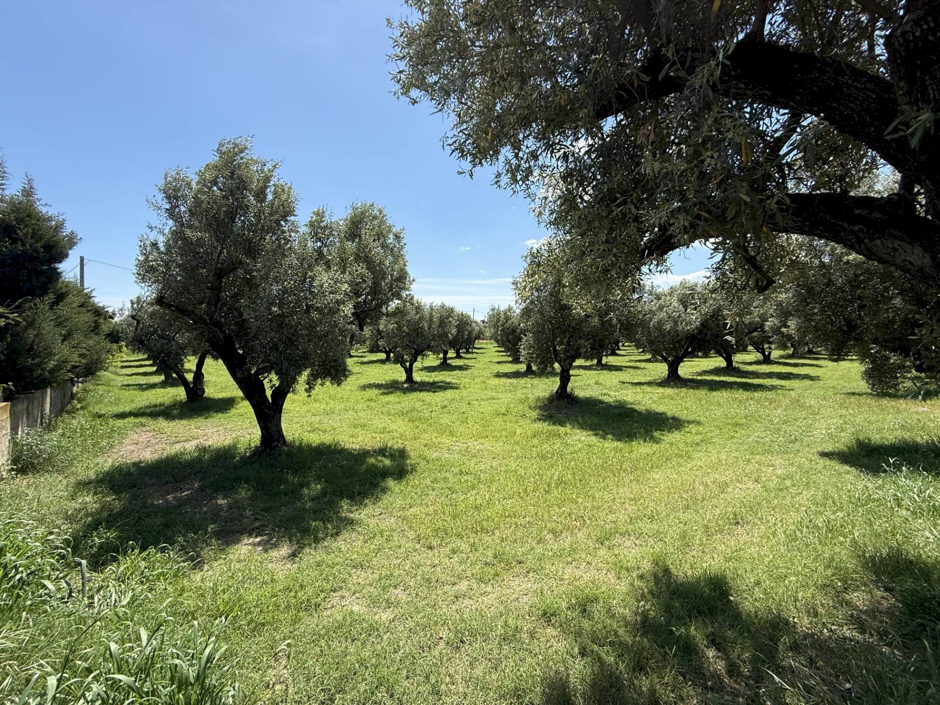 Foto 2 - Building land via Bellino, Catanzaro - photo 2