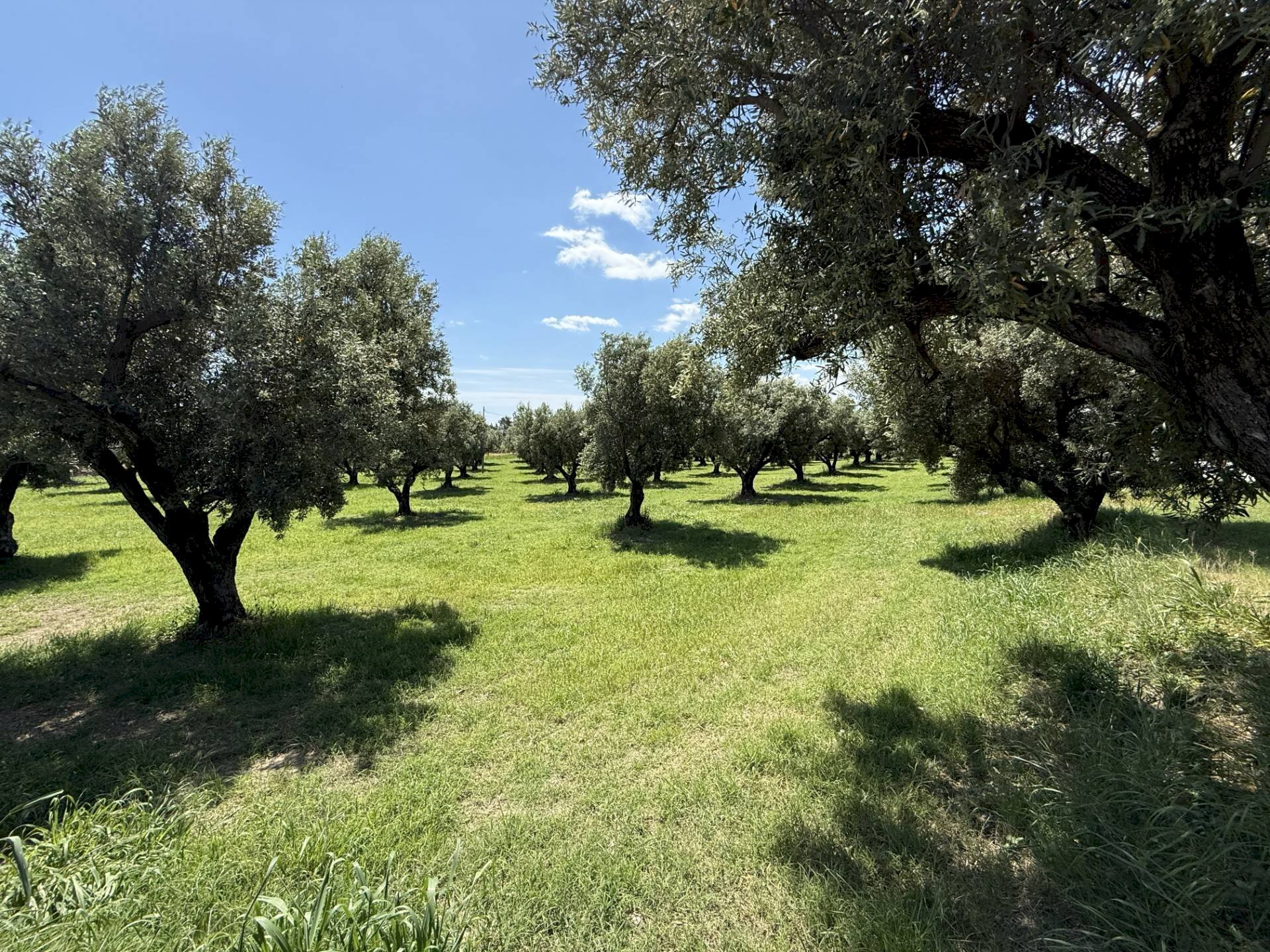 Foto 3 - Building land via Bellino, Catanzaro - photo 3