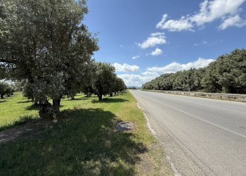 Foto 1 - Building land via Bellino, Catanzaro - photo 1