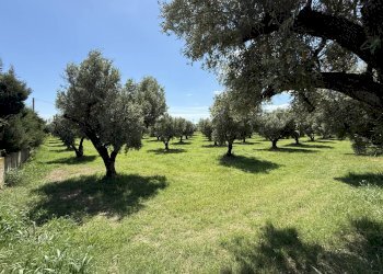 Foto 2 - Building land via Bellino, Catanzaro - photo 2