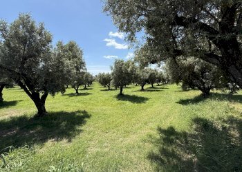 Foto 3 - Building land via Bellino, Catanzaro - photo 3
