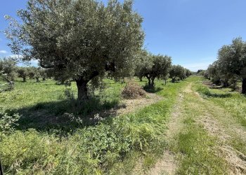 Foto 4 - Building land via Bellino, Catanzaro - photo 4