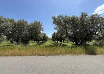 Foto 5 - Building land via Bellino, Catanzaro - photo 5