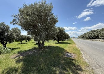 Foto 7 - Building land via Bellino, Catanzaro - photo 7