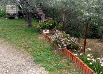 Giardino - Quadrilocale via Lo Pigno, San Nicola Manfredi - foto 47