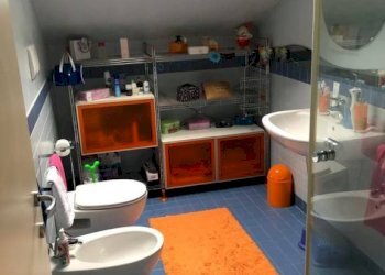 Bagno - Attic via Jacopo Dal Verme, 14, Alessandria - photo 3
