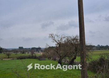 Terreno - Rustico Carraro dei Girardi, Gioia del Colle - foto 3