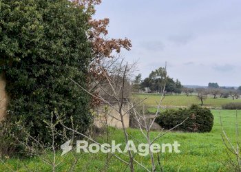 Terreno - Rustico Carraro dei Girardi, Gioia del Colle - foto 12