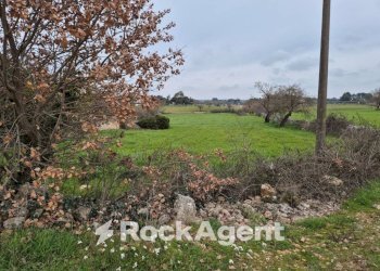 Terreno - Rustico Carraro dei Girardi, Gioia del Colle - foto 16