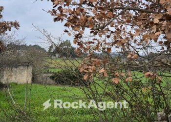 Terreno - Rustico Carraro dei Girardi, Gioia del Colle - foto 17