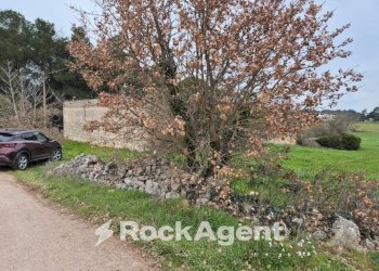 Terreno - Rustico Carraro dei Girardi, Gioia del Colle - foto 18