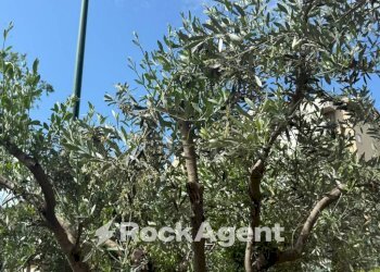 Terreno - Trilocale via Palermo, Sesto San Giovanni - foto 20