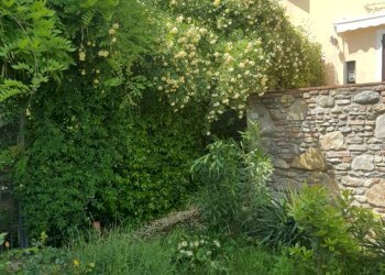 Monolocale Gambina, Tagliolo Monferrato - foto 12