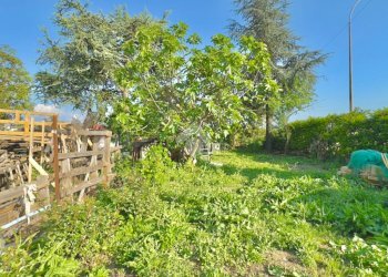 Independent house Str. Alessandria, Pozzolo Formigaro - photo 39