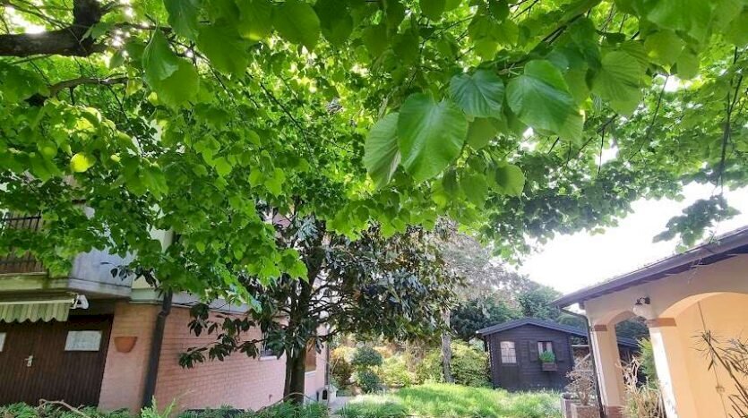 Villa Soliera - foto 1