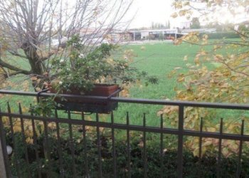 Villa Soliera - foto 11