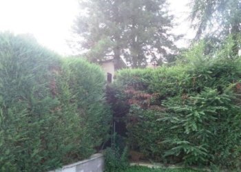 Villa Soliera - foto 22