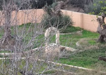 Terreno - Villa strada Vicinale Crocefisso Rimessa, Gallipoli - photo 4
