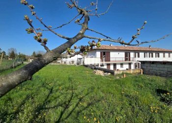 Terreno - Rustico strada Provinciale Casale Altavilla, 6B, Casale Monferrato - foto 41