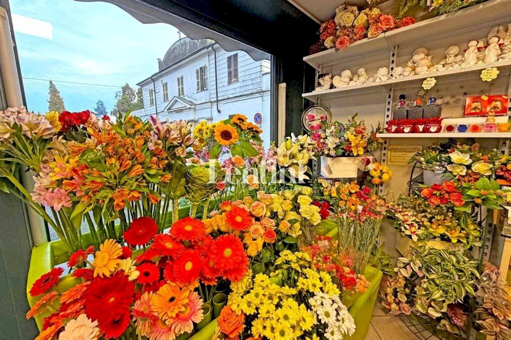 Interno non residenziale - Attività Commerciale via Francesco Negri, 9, Casale Monferrato - foto 3