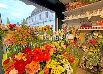 Interno non residenziale - Attività Commerciale via Francesco Negri, 9, Casale Monferrato - foto 3