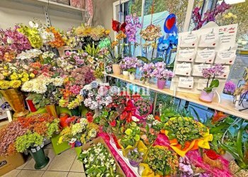 Interno non residenziale - Attività Commerciale via Francesco Negri, 9, Casale Monferrato - foto 4