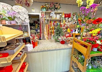 Interno non residenziale - Attività Commerciale via Francesco Negri, 9, Casale Monferrato - foto 6