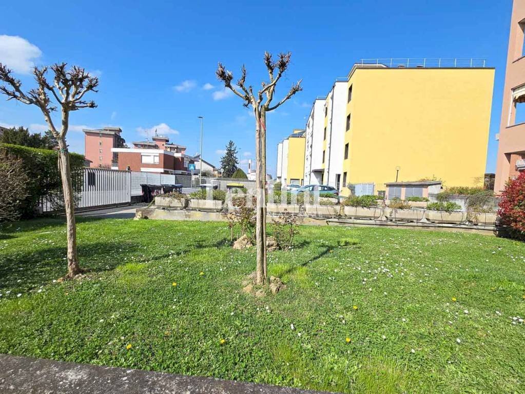 Giardino - Quadrilocale via Cardinale Guglielmo Massaia, 100E, Casale Monferrato - foto 3