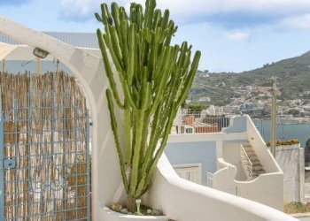 Terrazzo - Quadrilocale Scesa Santa Maria, Ponza - foto 7