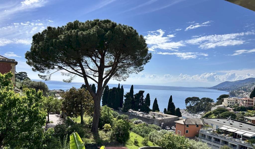 Vista - Appartamento via Migliaro, Camogli - foto 3
