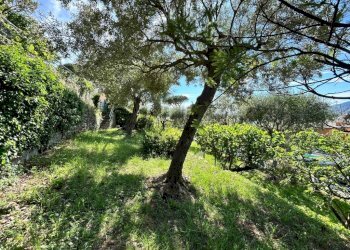 Terreno - Appartamento via Migliaro, Camogli - foto 17