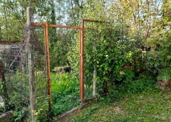BOSCO - Portion of a house via bricco del Mondo, 3, Sciolze - photo 7