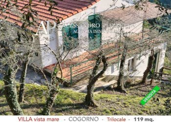 Terreno - Villa via al Castello, Cogorno - foto 27