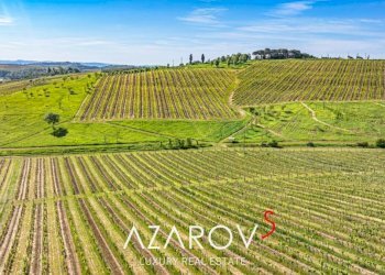 Terreno - Villa via Trieste, 23, Fucecchio - foto 37
