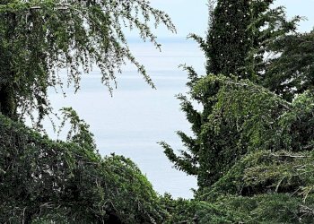 Apartment VIA DELLE GINESTRE, Varazze - photo 18