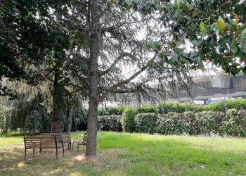 Two-room apartment San Mauro Torinese - photo 5