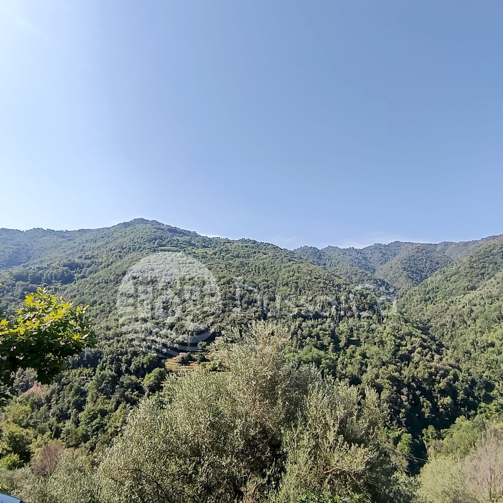 Four-room apartment viale rimembranze, Apricale - photo 2
