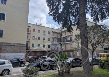 Three-room apartment Piazzale San Giuseppe Artigiano, 9, Foggia - photo 6
