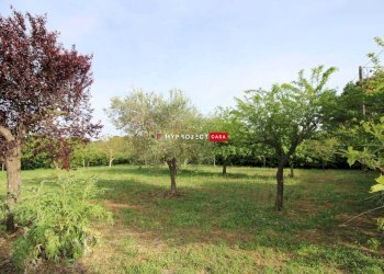 Villa Strada Pizzo Del Vento, Martina Franca - foto 25