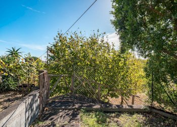 Foto 10 - Villa Via Duccio Galimberti
 
111, Santa Venerina - photo 10