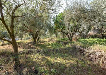 Foto 21 - Villa Via Duccio Galimberti
 
111, Santa Venerina - photo 21