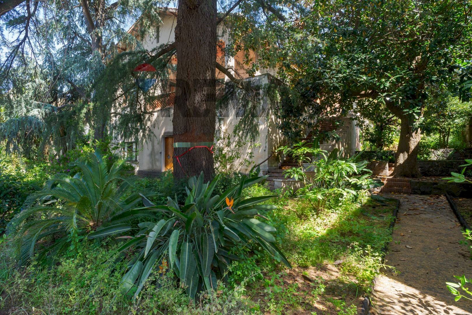 Giardino - Villa Via Francesco Crispi
50, Trecastagni - photo 3