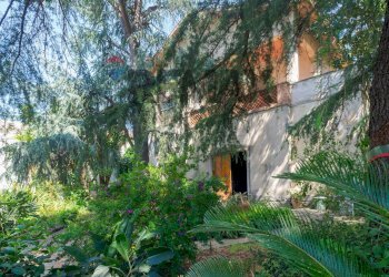 Giardino - Villa Via Francesco Crispi
 
50, Trecastagni - photo 4