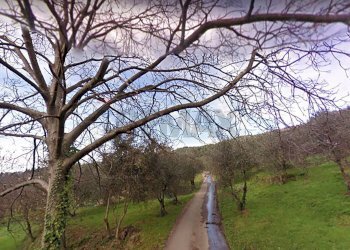 Vista delle montagne - Rustic Lucca - photo 12